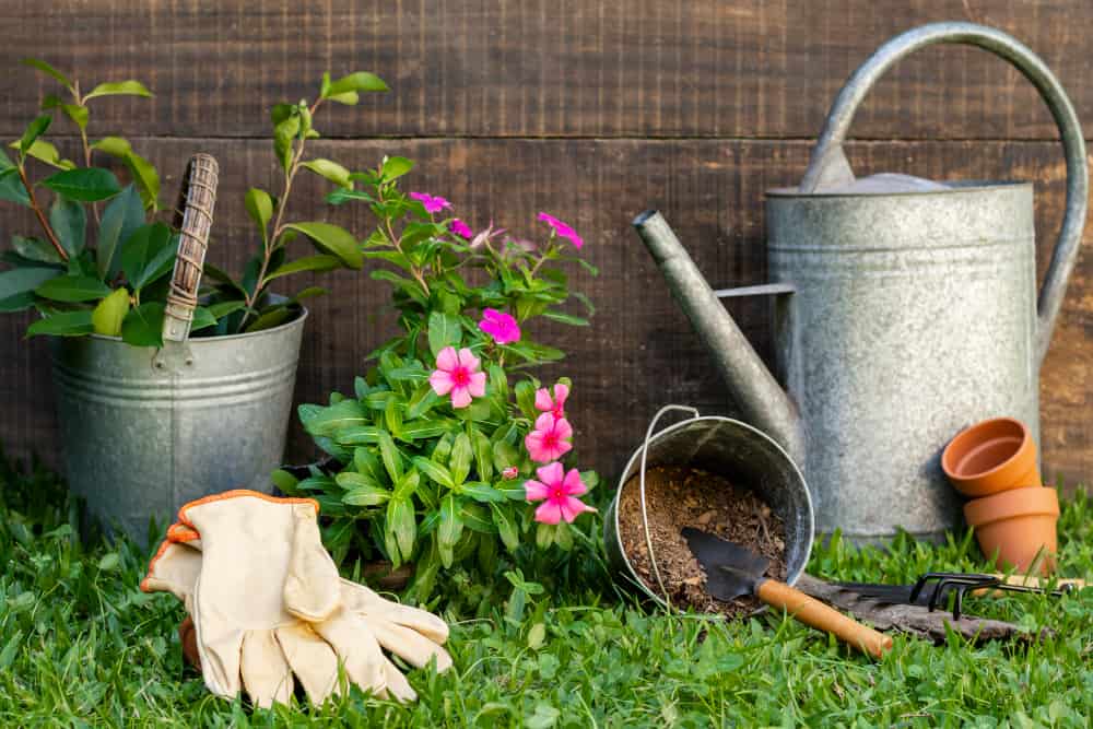 Mantenimiento de jardines: los mejores servicios para cuidar y embellecer tu espacio verde